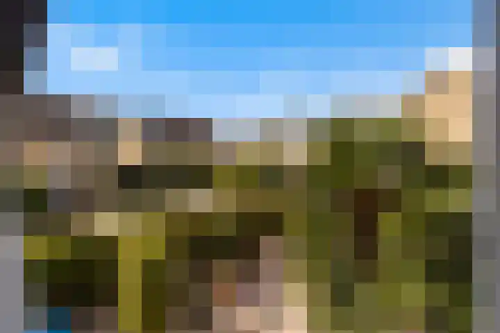 Ratelaar 48 Krimpen aan den IJssel thumbnail 23