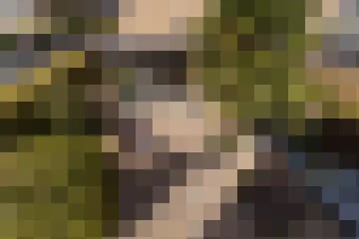 Ratelaar 48 Krimpen aan den IJssel thumbnail 24