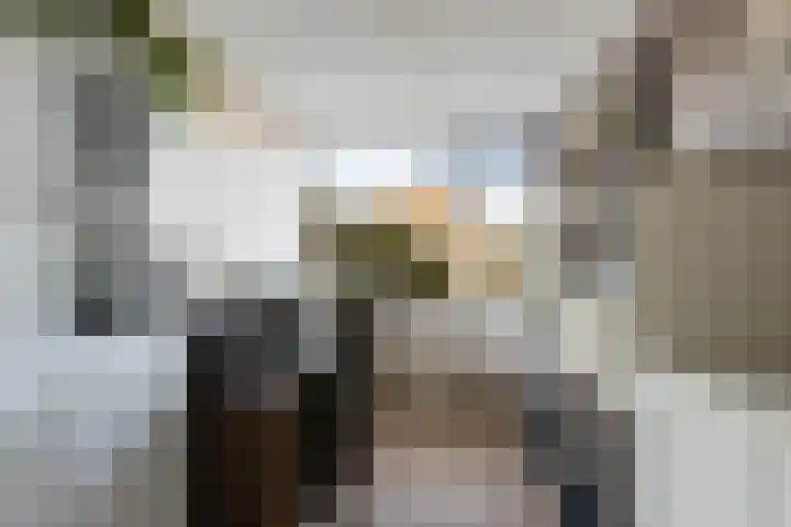 Ratelaar 48 Krimpen aan den IJssel thumbnail 26
