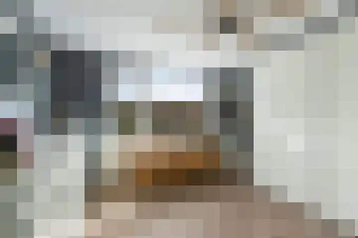 Ratelaar 48 Krimpen aan den IJssel thumbnail 28