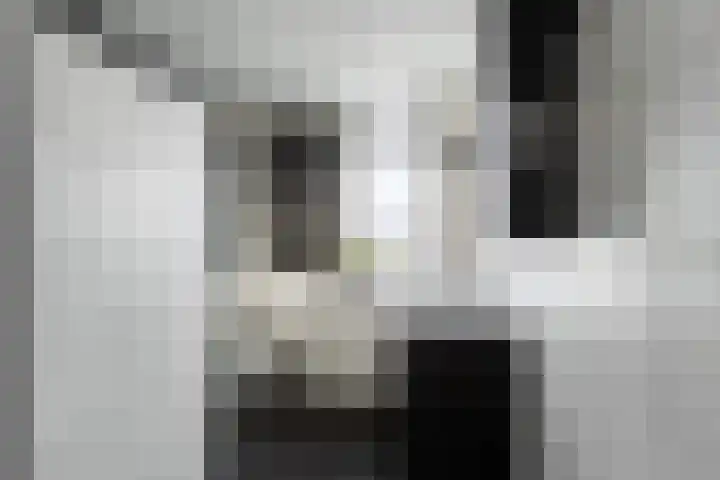 Ratelaar 48 Krimpen aan den IJssel thumbnail 31