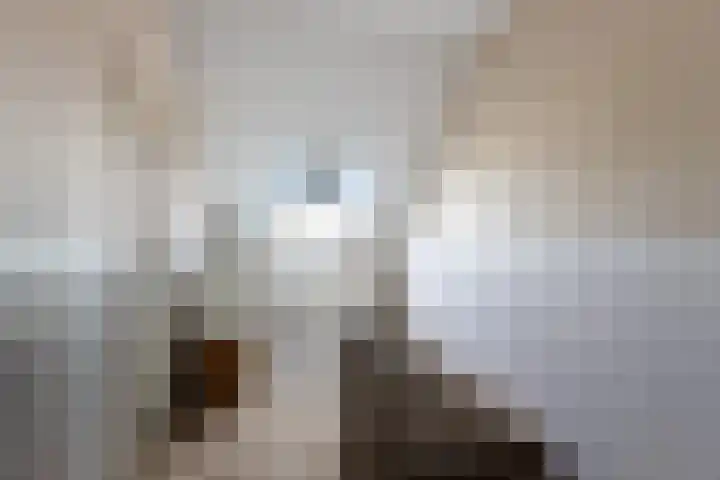 Ratelaar 48 Krimpen aan den IJssel thumbnail 34