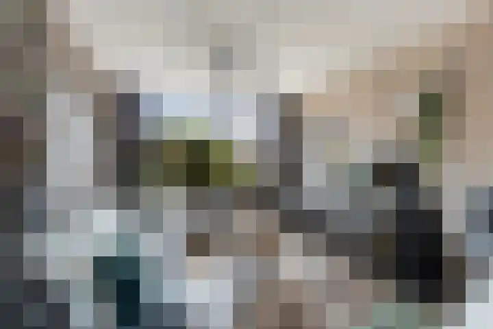 Ratelaar 48 Krimpen aan den IJssel thumbnail 4