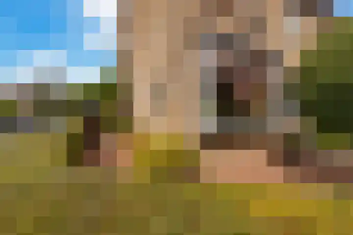 Ratelaar 48 Krimpen aan den IJssel thumbnail 40