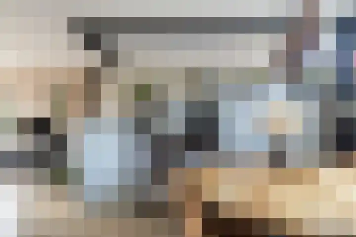 Ratelaar 48 Krimpen aan den IJssel thumbnail 8