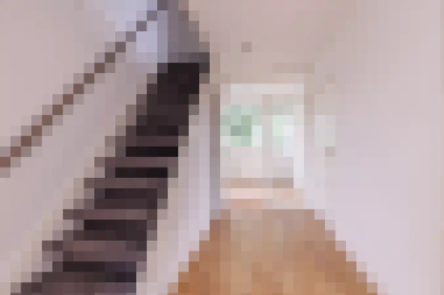 Ratelaar 5 Apeldoorn thumbnail 16