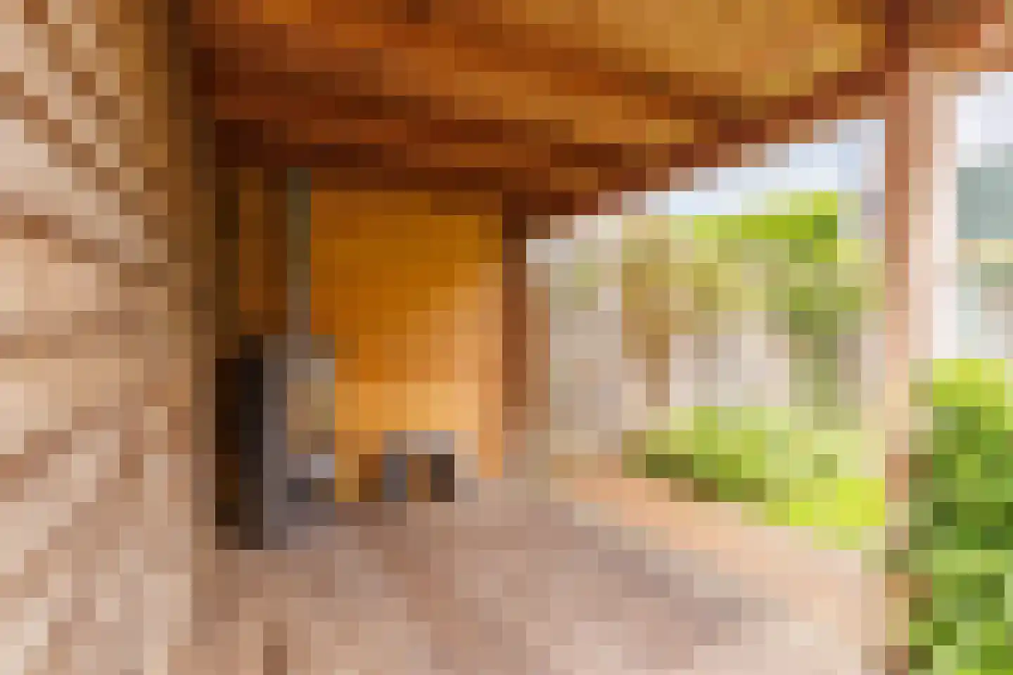 Ratelaar 5 Apeldoorn thumbnail 22