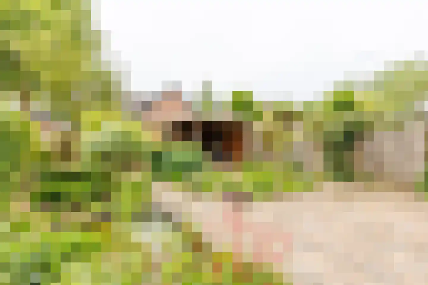 Ratelaar 5 Apeldoorn thumbnail 23