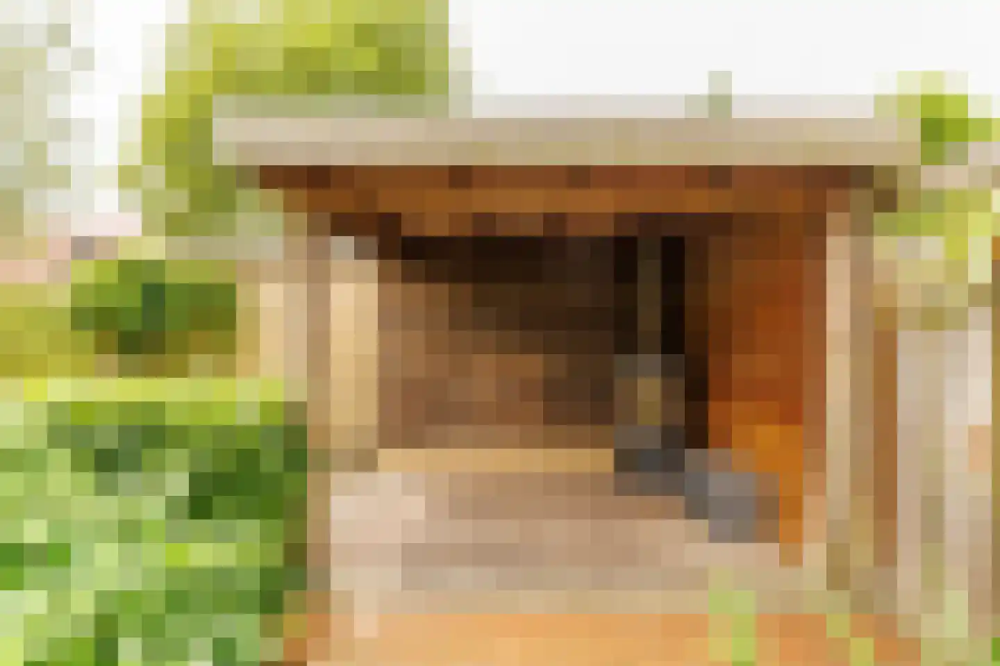 Ratelaar 5 Apeldoorn thumbnail 26