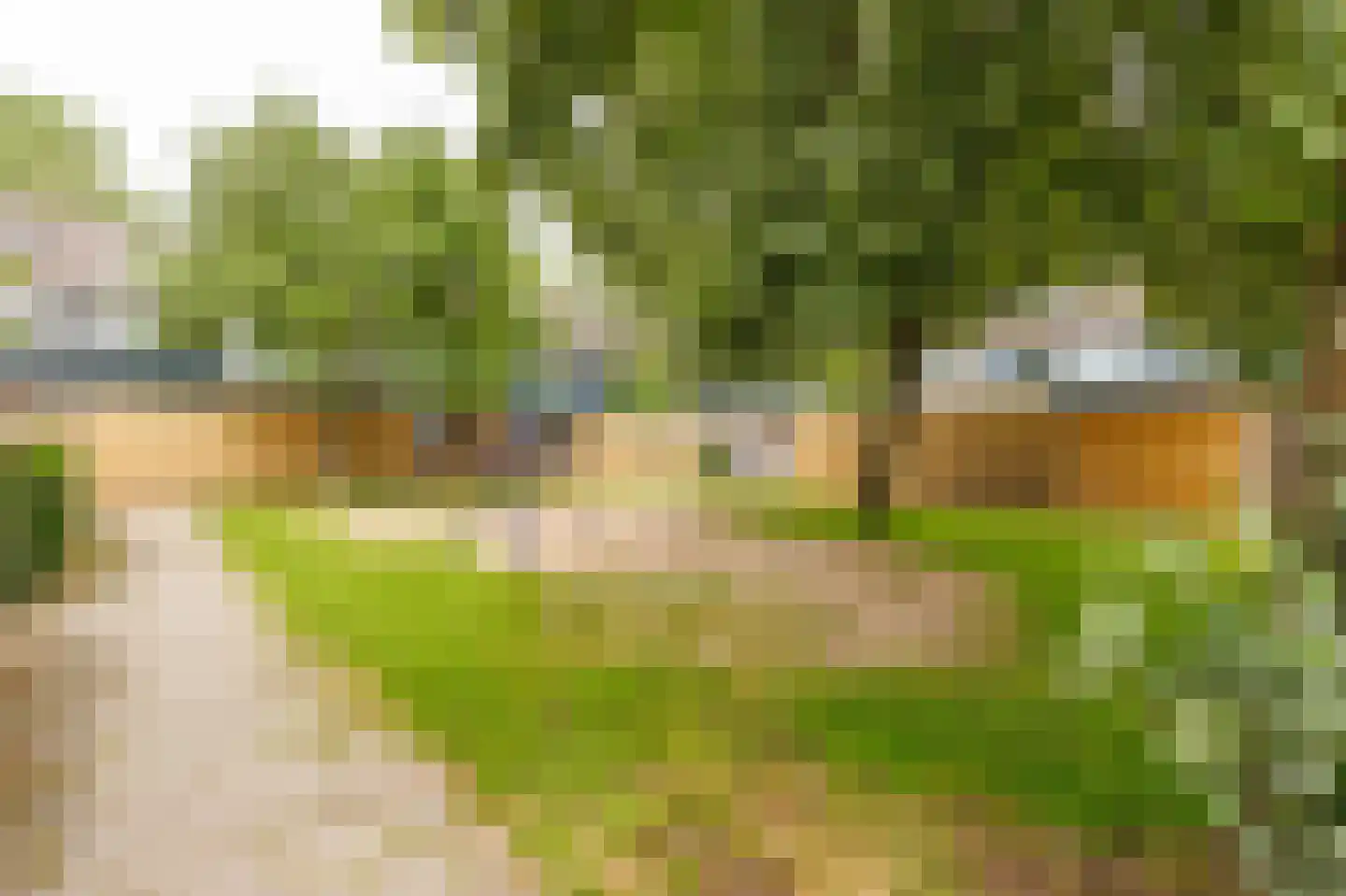 Ratelaar 5 Apeldoorn thumbnail 27