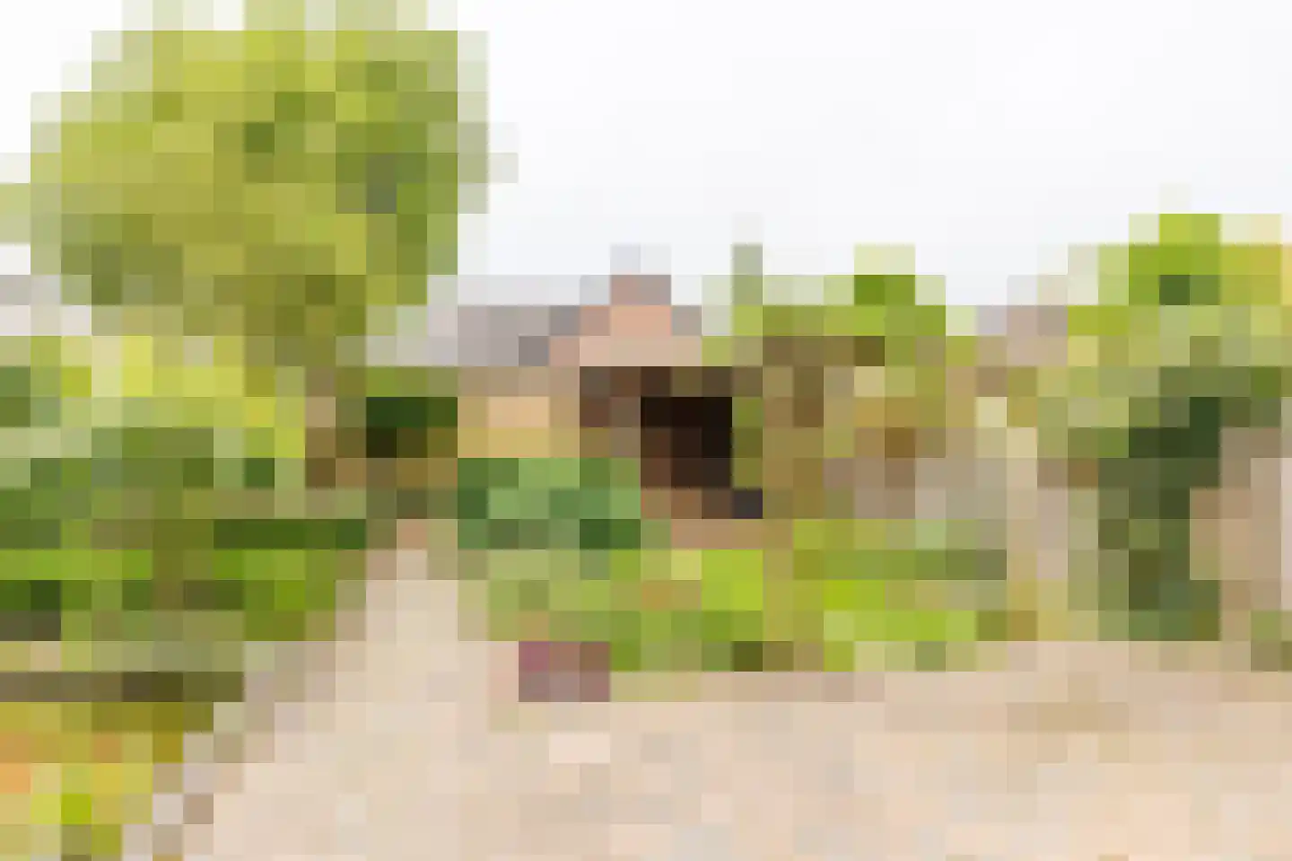 Ratelaar 5 Apeldoorn thumbnail 4