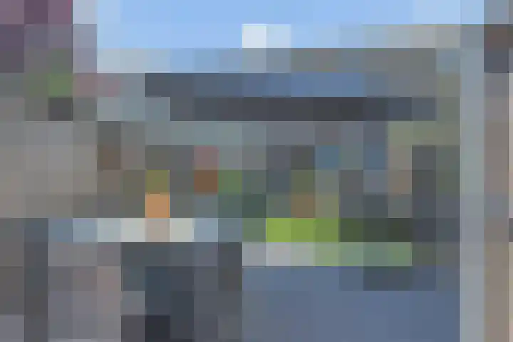 Ratelaar 5 Nootdorp thumbnail 12