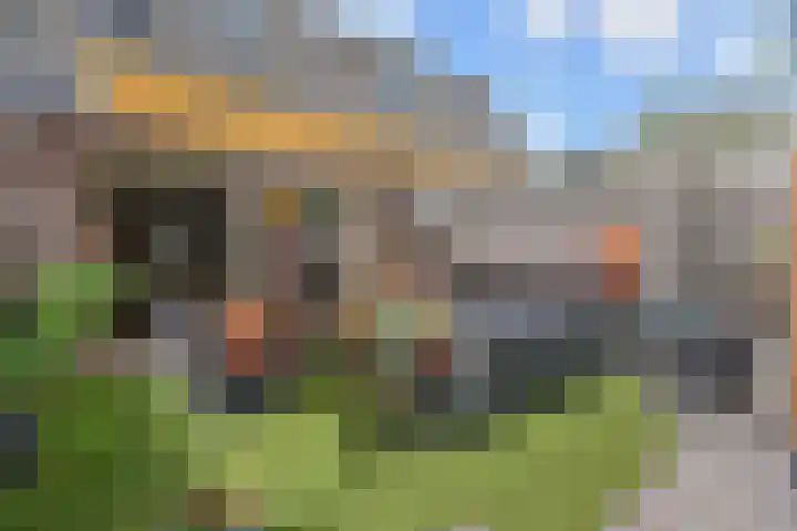 Ratelaar 5 Nootdorp thumbnail 13