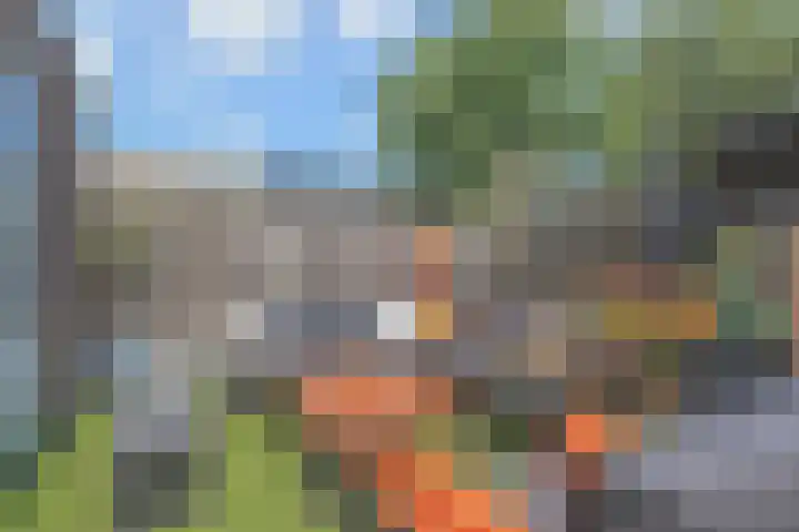 Ratelaar 5 Nootdorp thumbnail 14