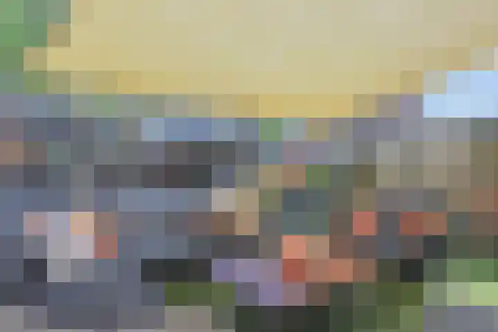 Ratelaar 5 Nootdorp thumbnail 15