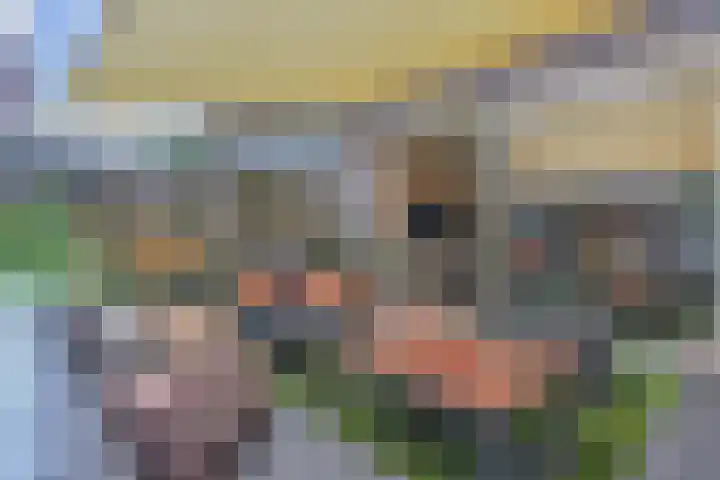 Ratelaar 5 Nootdorp thumbnail 16