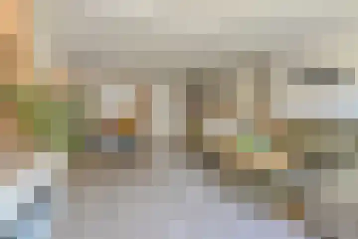 Ratelaar 5 Nootdorp thumbnail 17