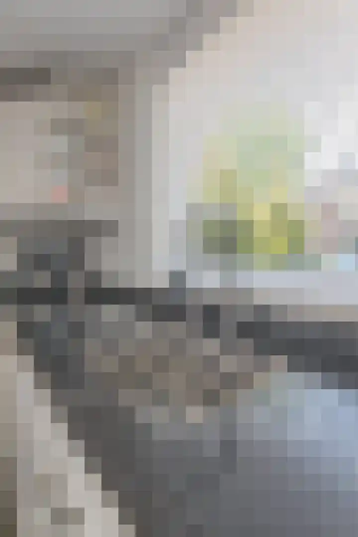 Ratelaar 5 Nootdorp thumbnail 22