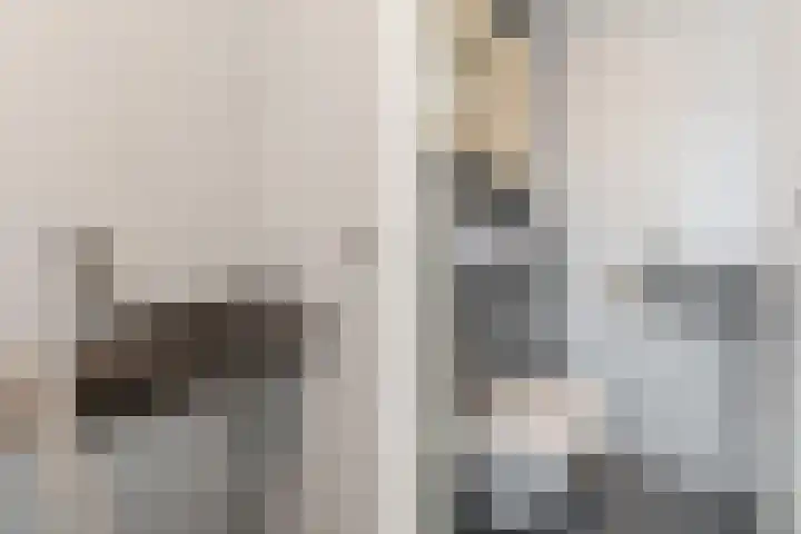 Ratelaar 5 Nootdorp thumbnail 23