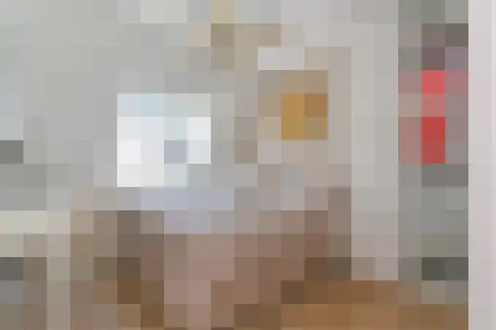 Ratelaar 5 Nootdorp thumbnail 27
