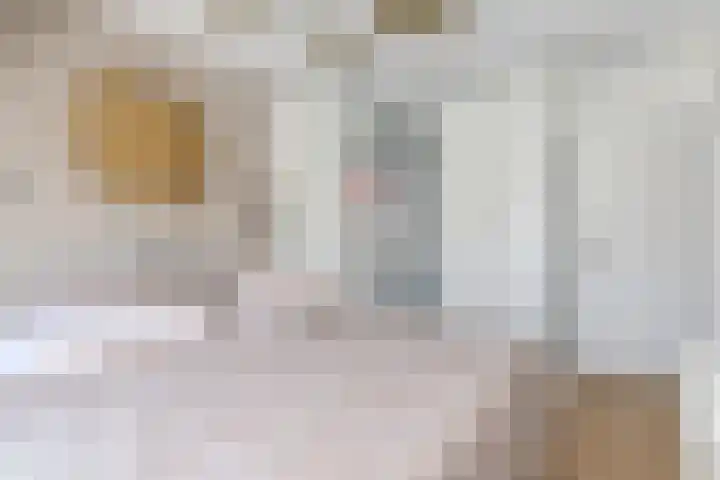 Ratelaar 5 Nootdorp thumbnail 28