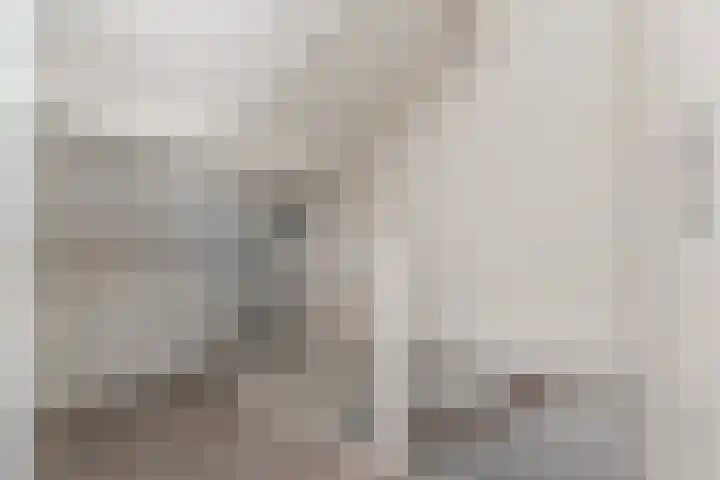 Ratelaar 5 Nootdorp thumbnail 36