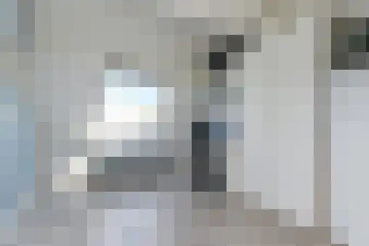 Ratelaar 5 Nootdorp thumbnail 37