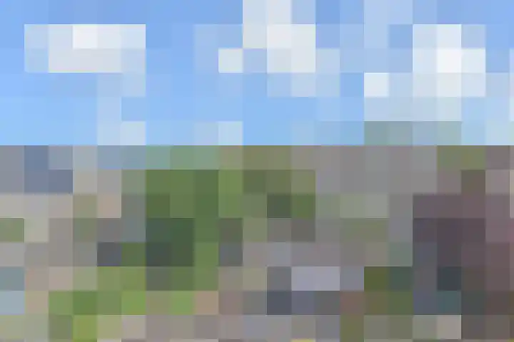 Ratelaar 5 Nootdorp thumbnail 38