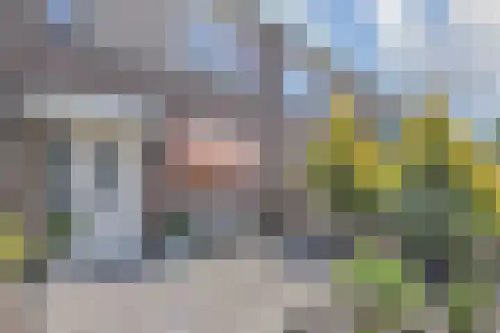 Ratelaar 5 Nootdorp thumbnail 42
