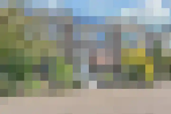 Ratelaar 5 Nootdorp thumbnail 52
