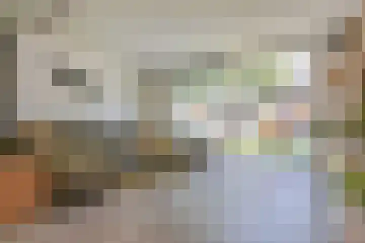 Ratelaar 5 Nootdorp thumbnail 6
