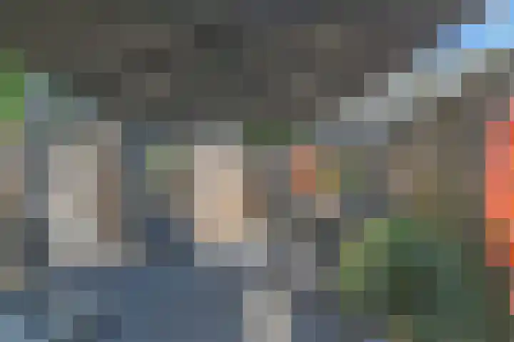Ratelaar 5 Nootdorp thumbnail 8