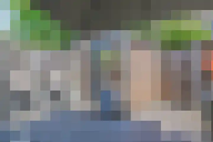 Ratelaar 5 Nootdorp thumbnail 9