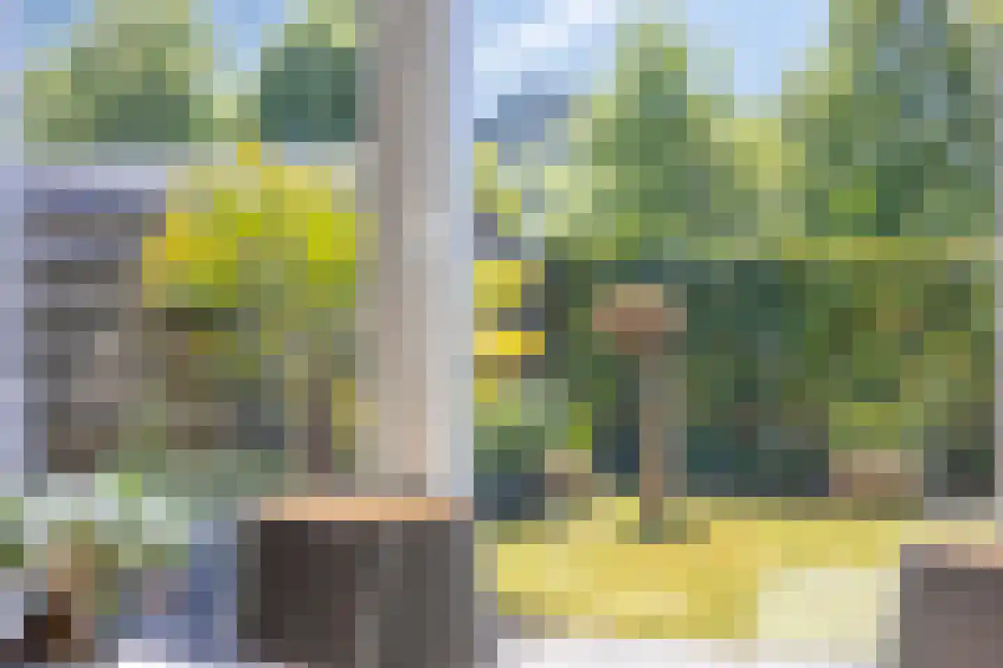 Ratelaar 57 Schoonebeek thumbnail 15