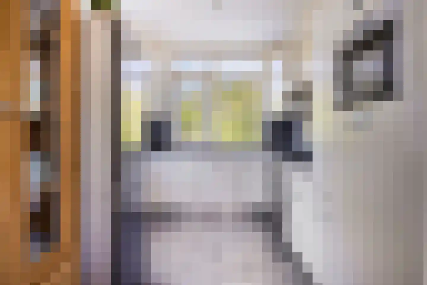 Ratelaar 57 Schoonebeek thumbnail 22