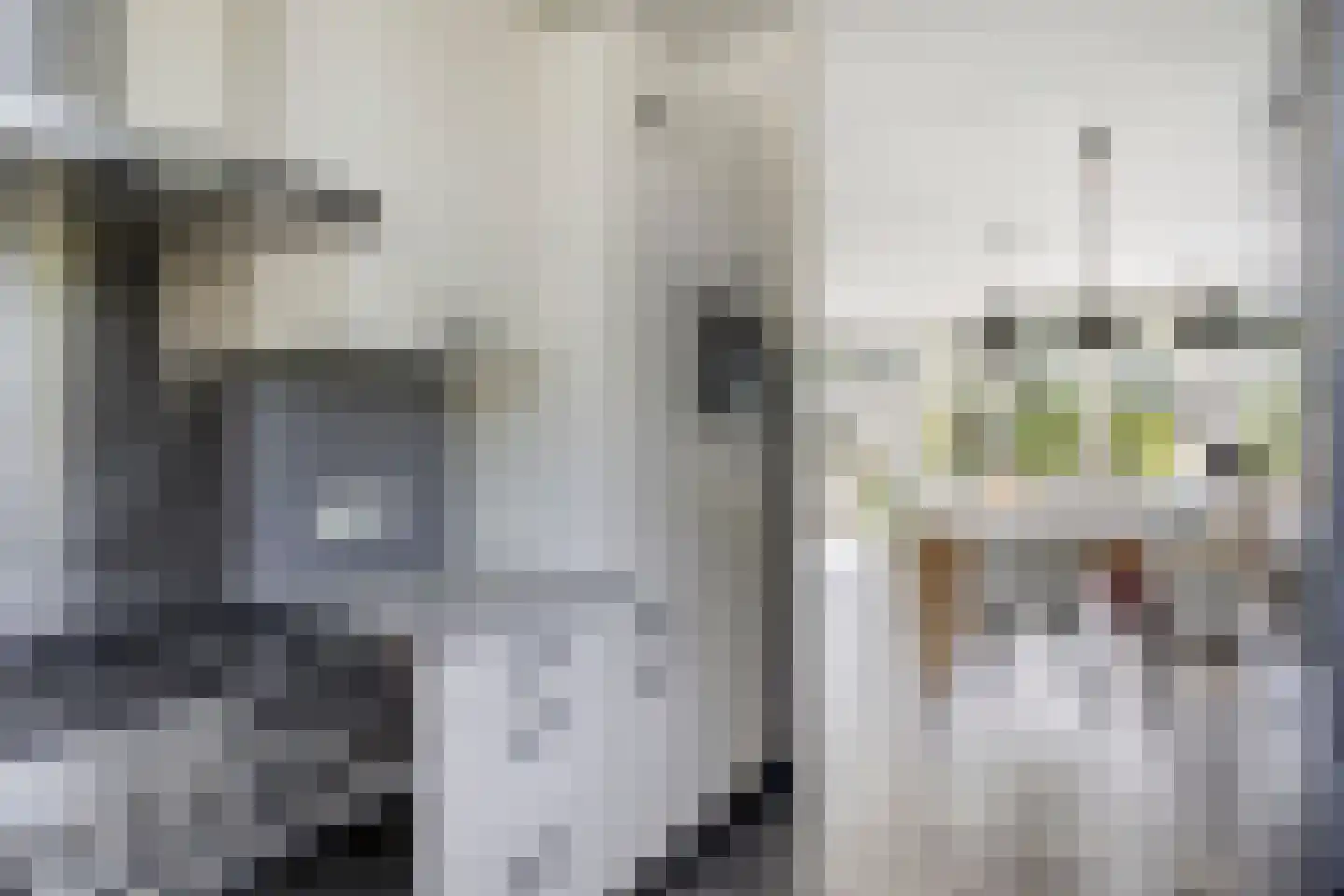 Ratelaar 57 Schoonebeek thumbnail 24