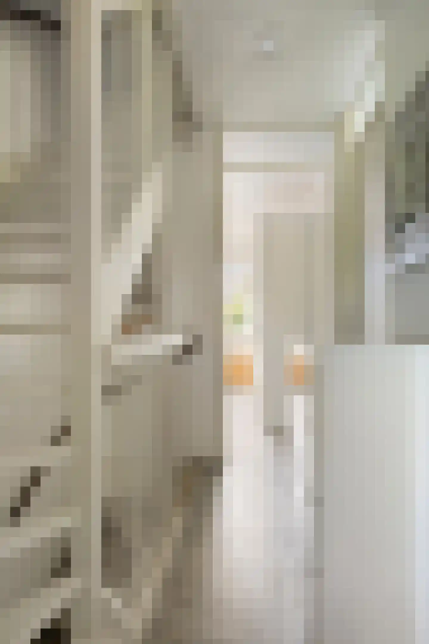 Ratelaar 57 Schoonebeek thumbnail 31