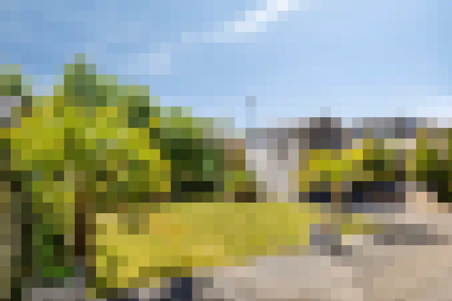 Ratelaar 57 Schoonebeek thumbnail 4