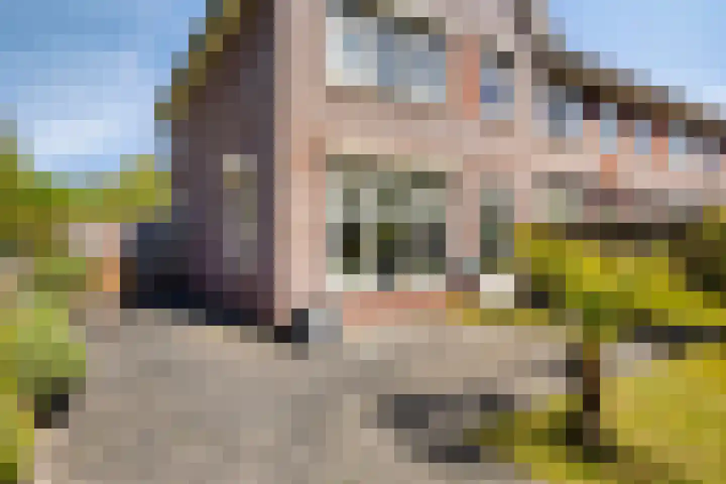 Ratelaar 57 Schoonebeek thumbnail 43