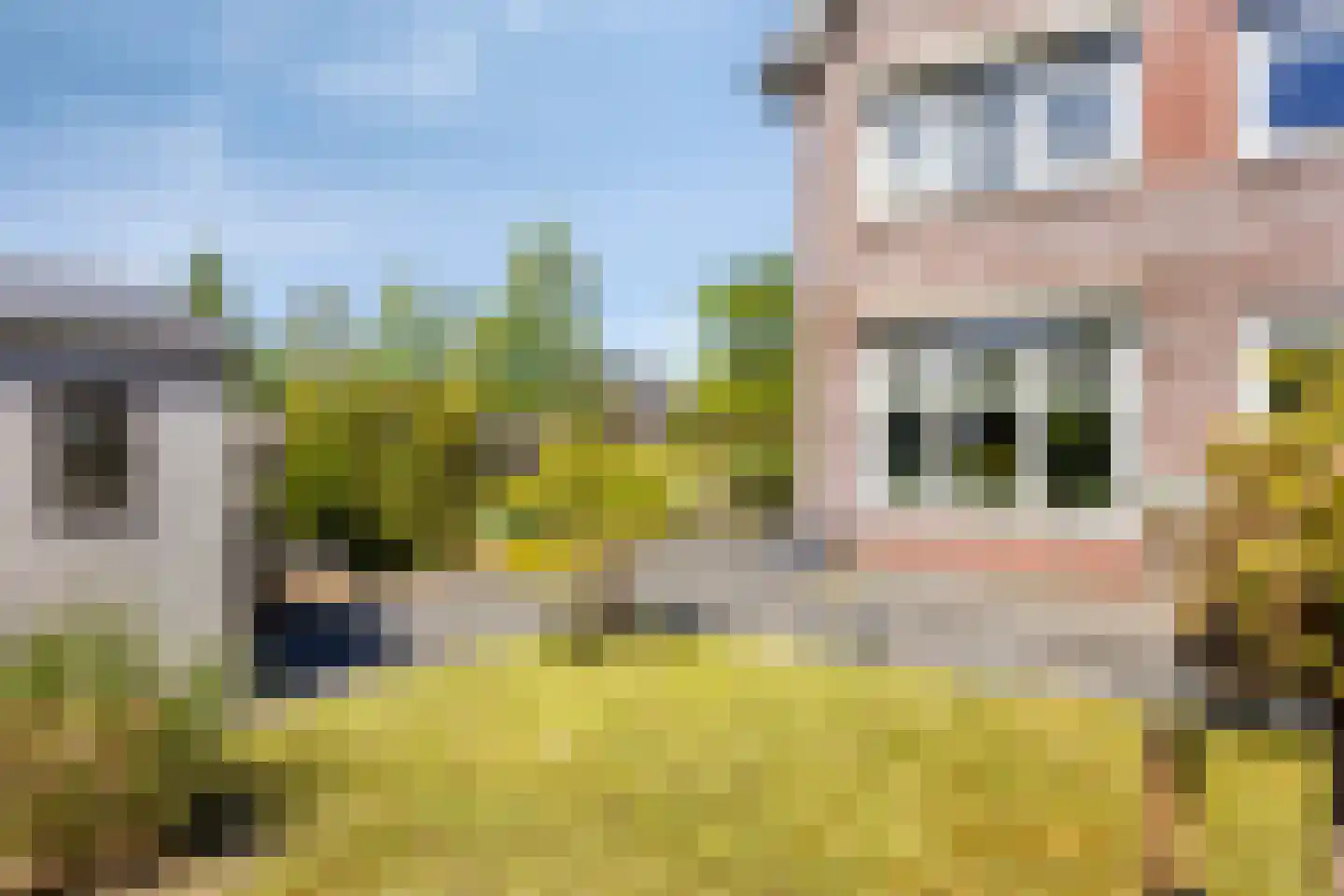 Ratelaar 57 Schoonebeek thumbnail 45