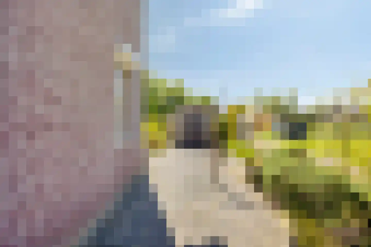 Ratelaar 57 Schoonebeek thumbnail 48