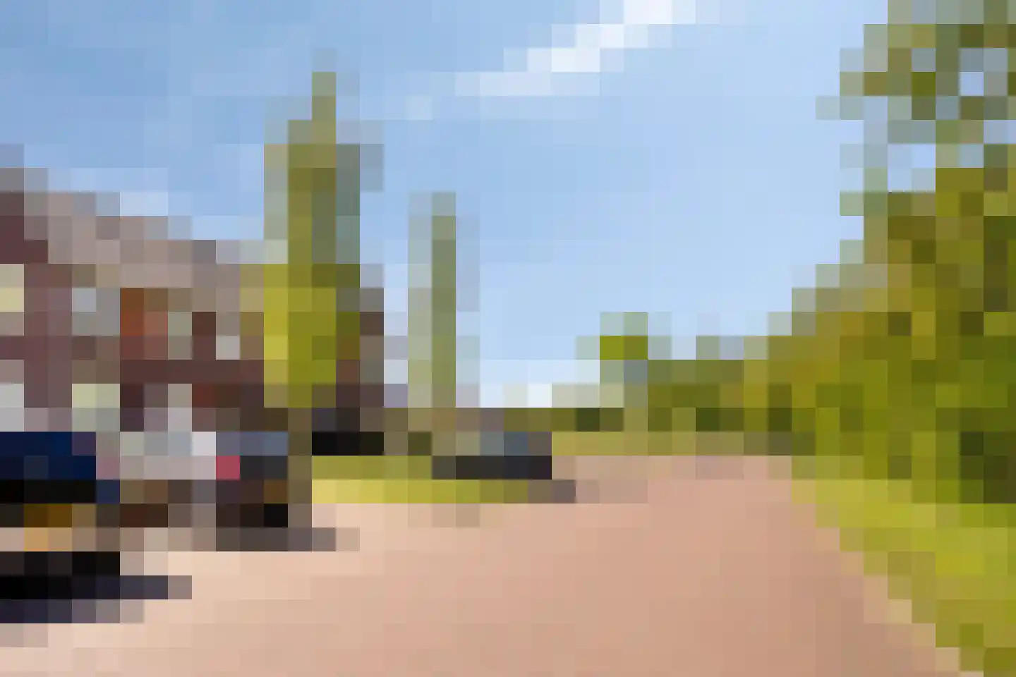 Ratelaar 57 Schoonebeek thumbnail 50