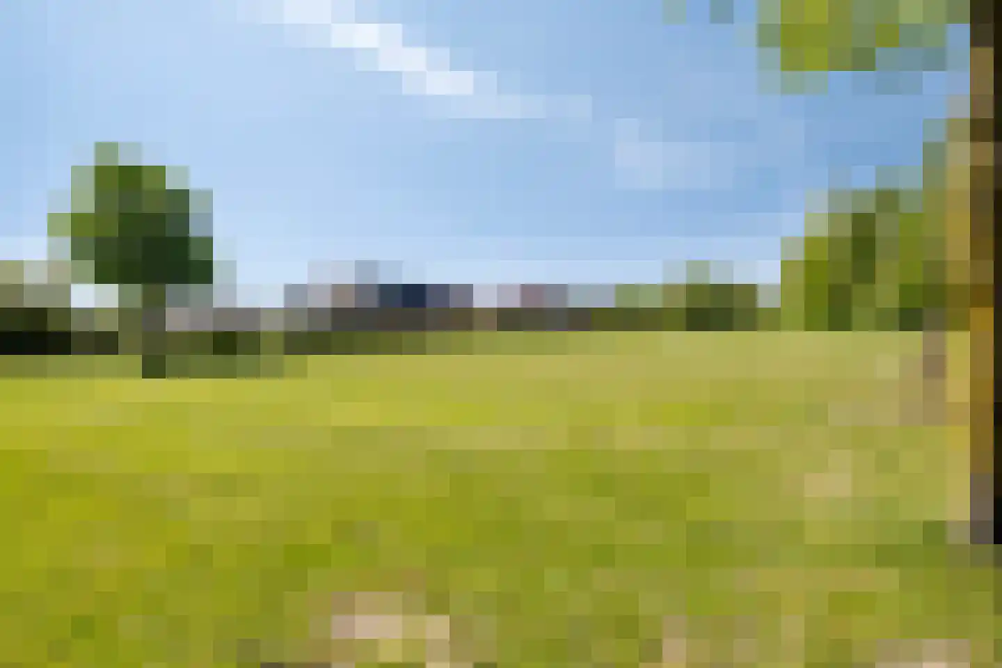 Ratelaar 57 Schoonebeek thumbnail 53