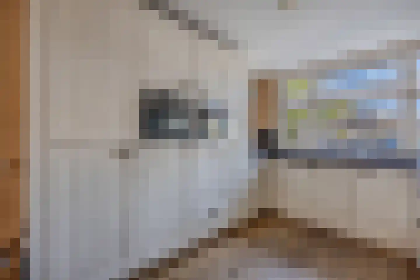 Ratelaar 71 Heemskerk thumbnail 10