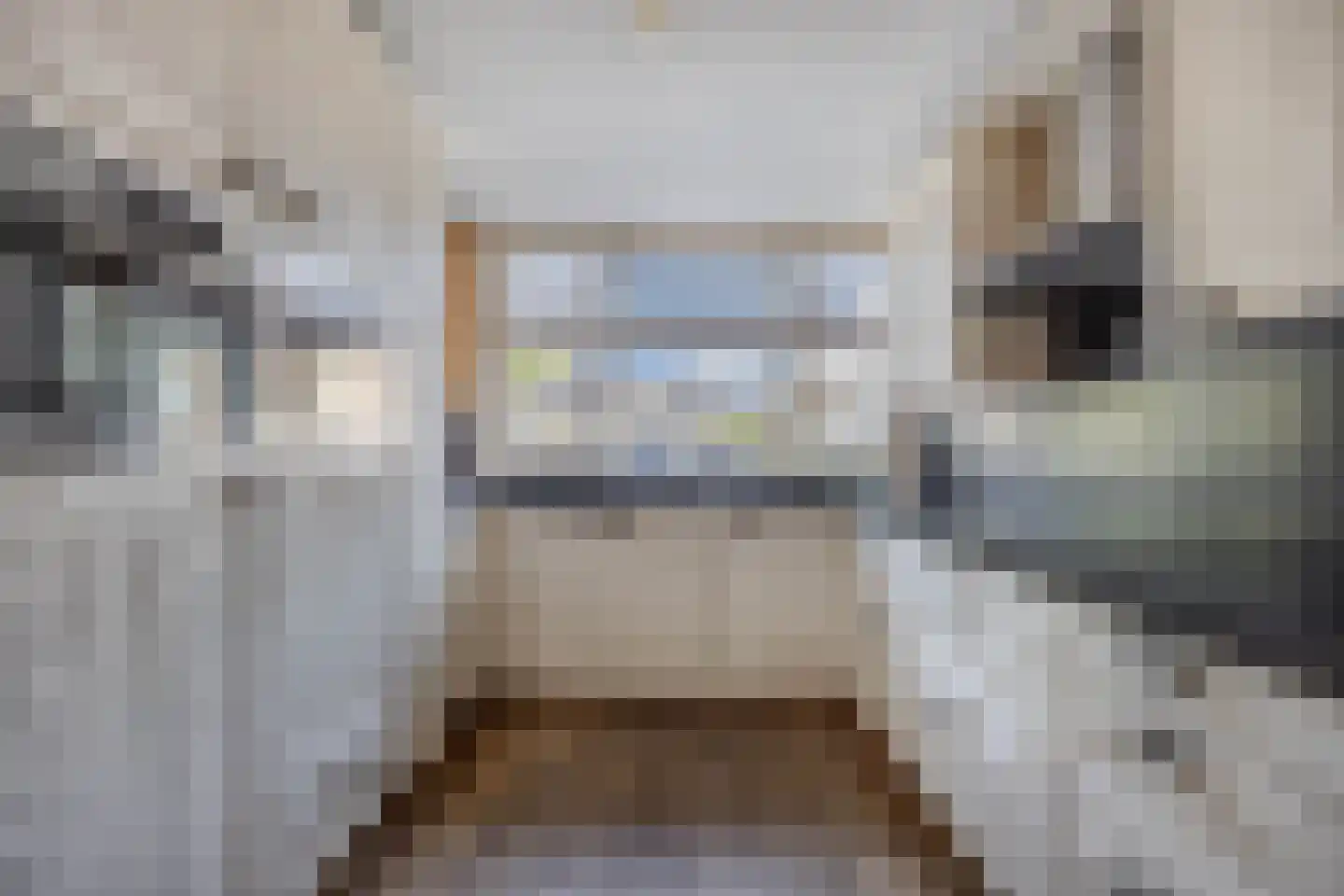 Ratelaar 71 Heemskerk thumbnail 11