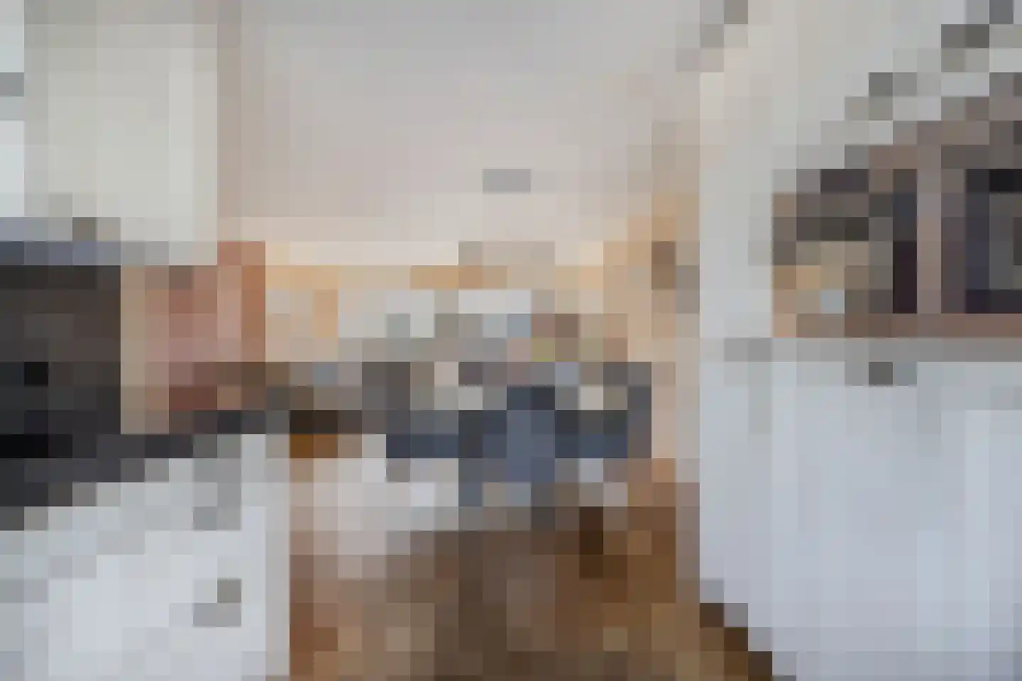 Ratelaar 71 Heemskerk thumbnail 13