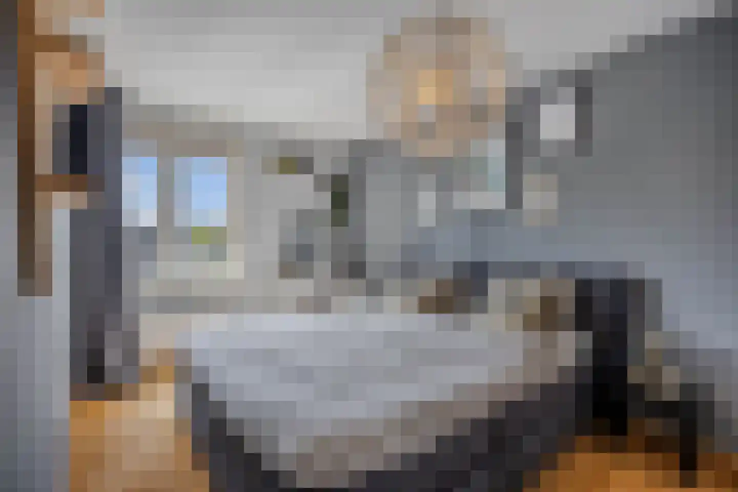 Ratelaar 71 Heemskerk thumbnail 16