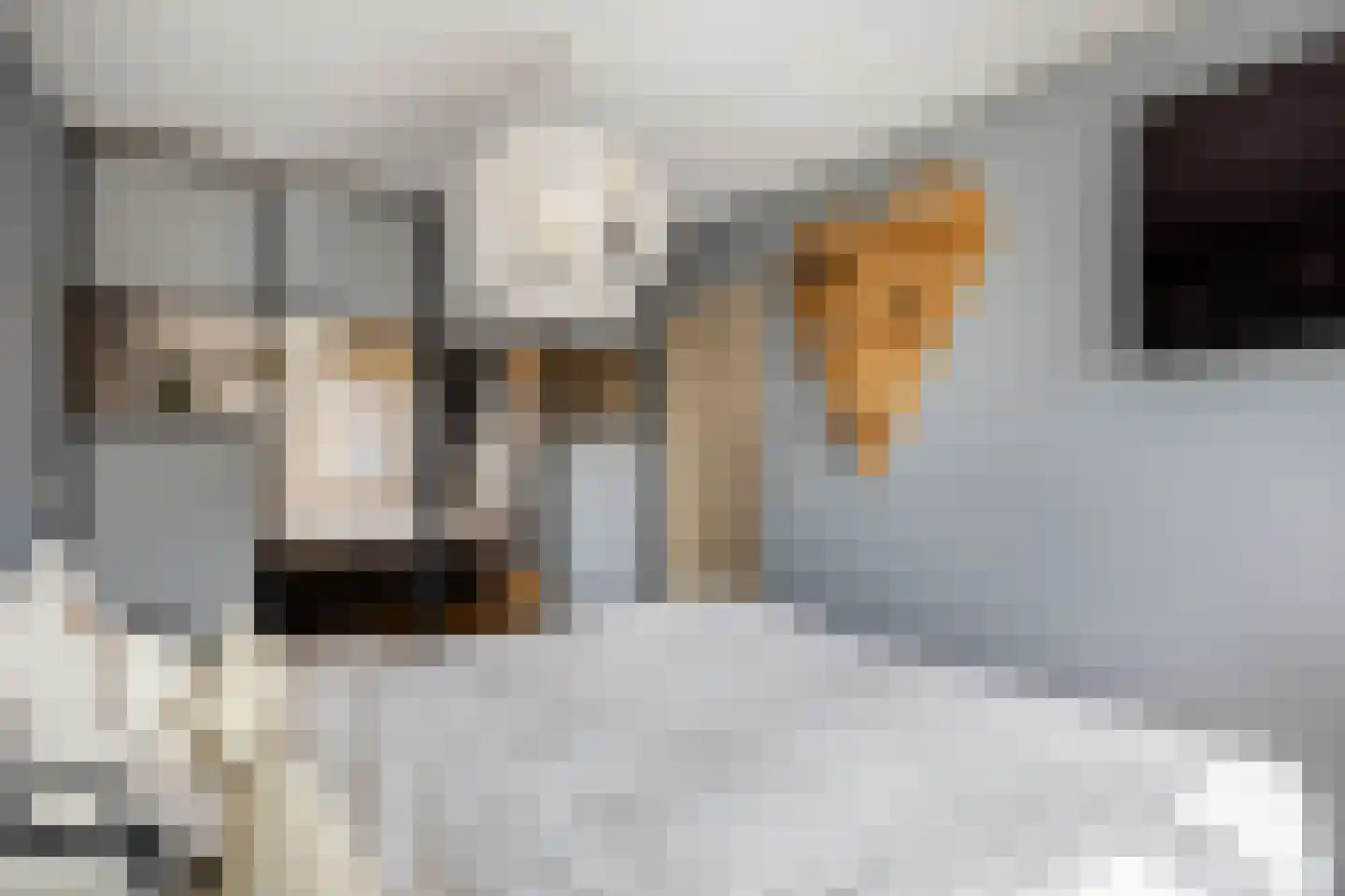 Ratelaar 71 Heemskerk thumbnail 17