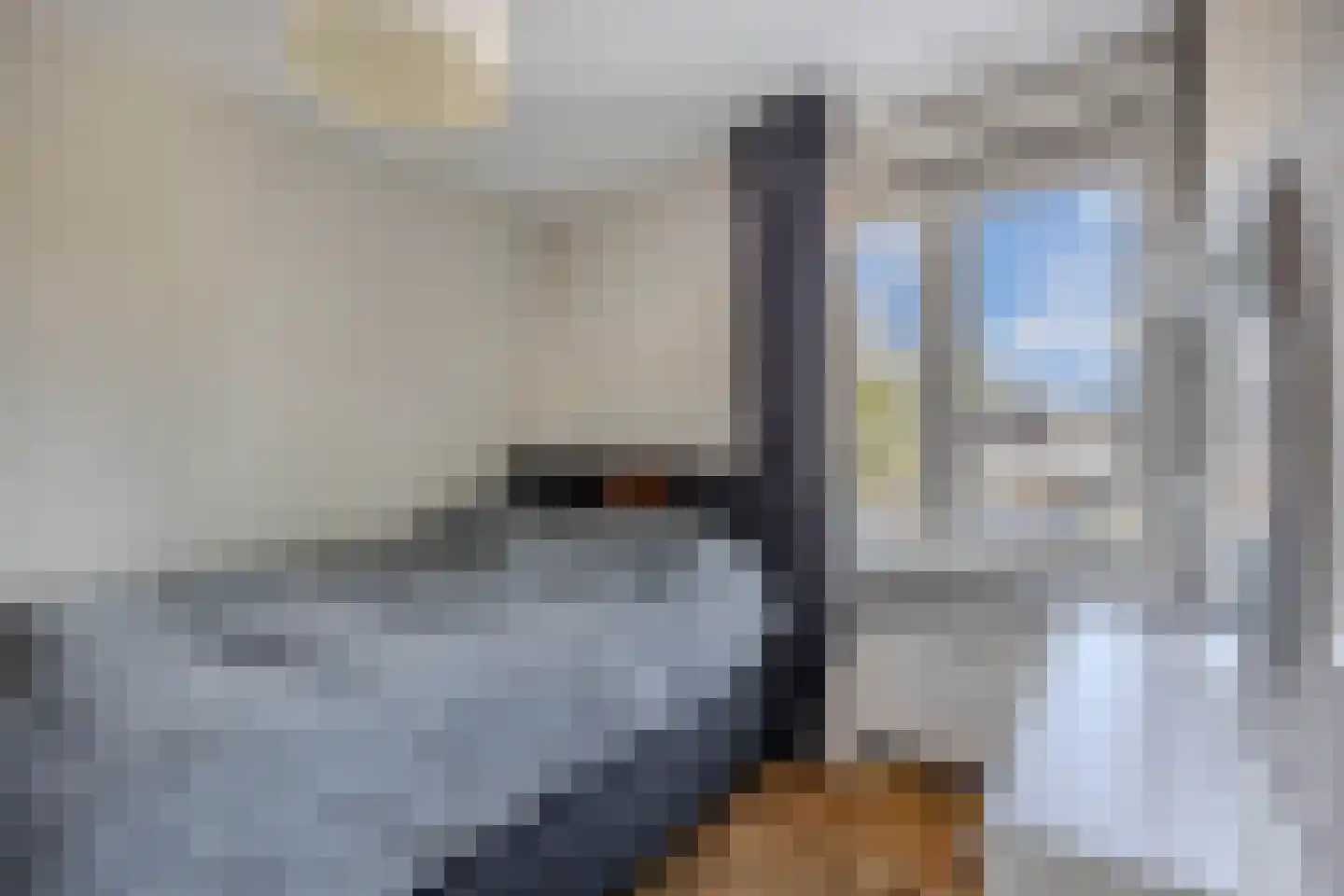 Ratelaar 71 Heemskerk thumbnail 18