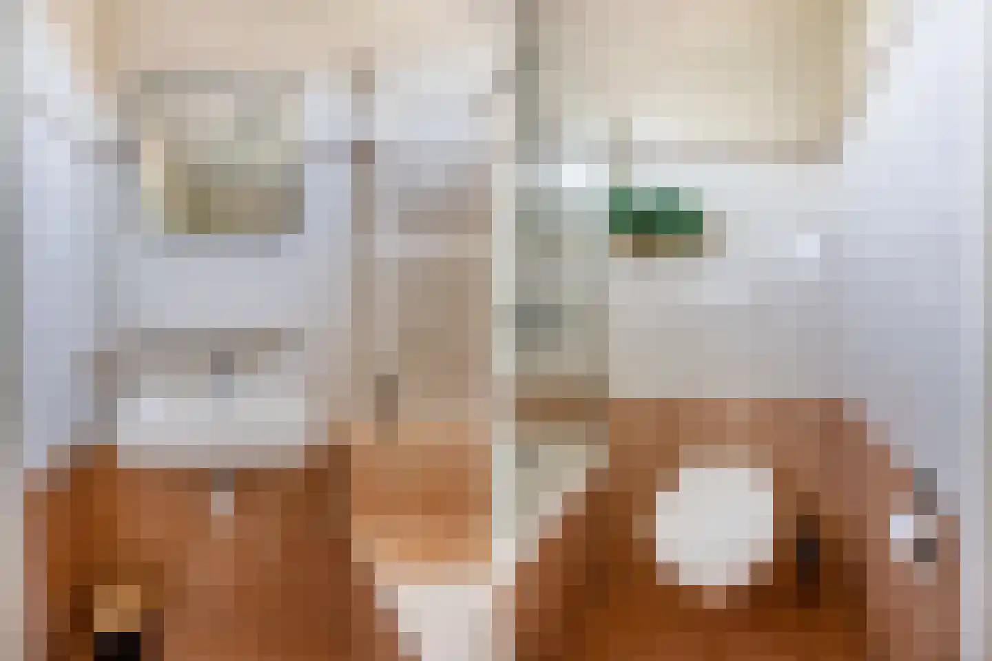 Ratelaar 71 Heemskerk thumbnail 19